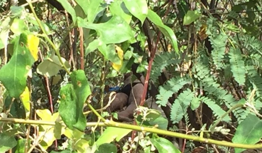 Corpo é encontrado com bilhete: 'Morreu porque roubou a igreja'