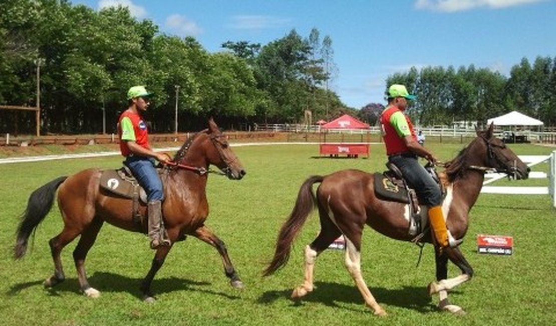 Arapiraca sedia evento regional de criadores de cavalos