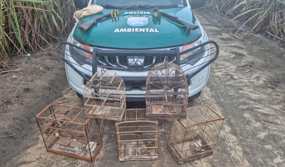 PM resgata mais de 250 animais silvestres e apreende oito armas de fogo durante operação em Alagoas