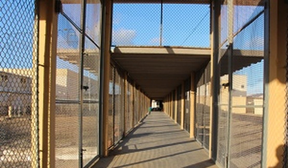 Justiça concede liberdade a mulher com câncer presa por roubar botijão de gás