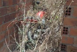 Motocicleta roubada é encontrada abandonada no bairro Canafístula, em Arapiraca