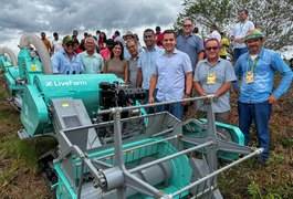 Produção de arroz tem perspectivas positivas no Baixo São Francisco alagoano