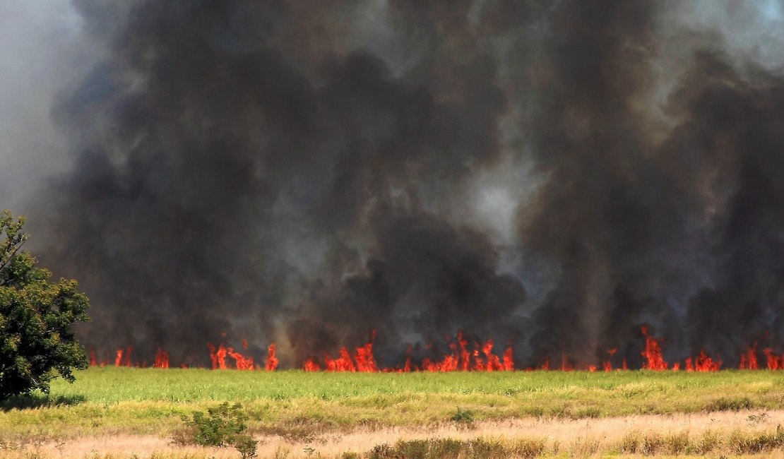 Dois são presos por suspeita de incêndios criminosos em São Paulo