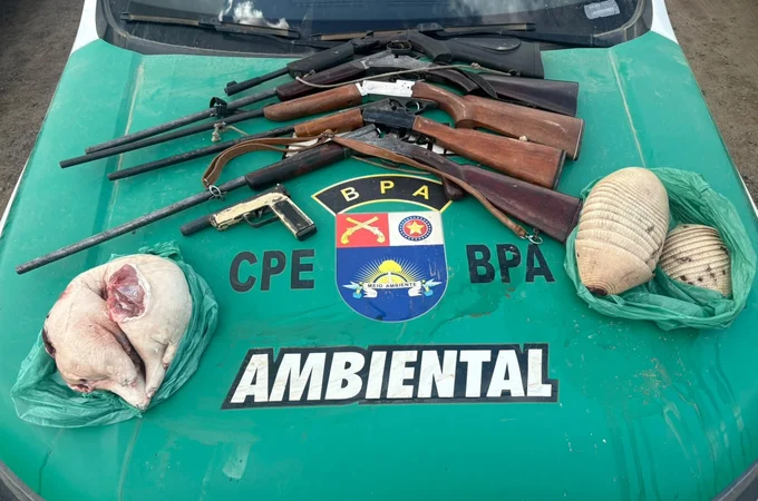 BPA apreende armas de fogo e carcaças de tatus e paca em Joaquim Gomes