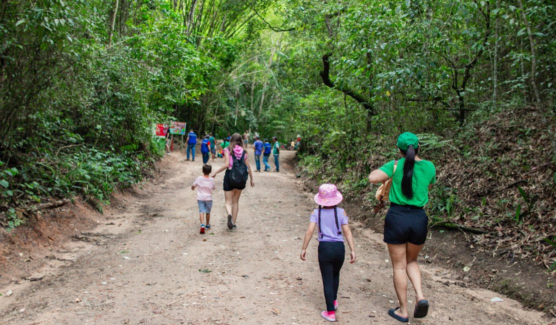 Parque Municipal de Maceió fecha trilhas para manutenção