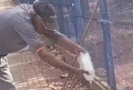 VÍDEO: Trabalhador tenta dar água para lagarto teiú, é atacado e perde parte do dedo no MT