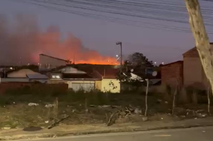 Incêndio em vegetação assusta moradores e deixa cavalo ferido, em Arapiraca