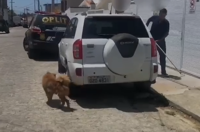 Ação policial, em Maceió, resgata animal abandonado em residência por dono que viajou