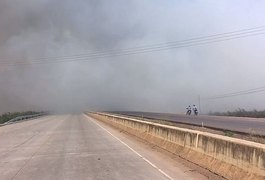 Incêndio em vegetação novamente prejudica visibilidade de condutores em São Miguel dos Campos