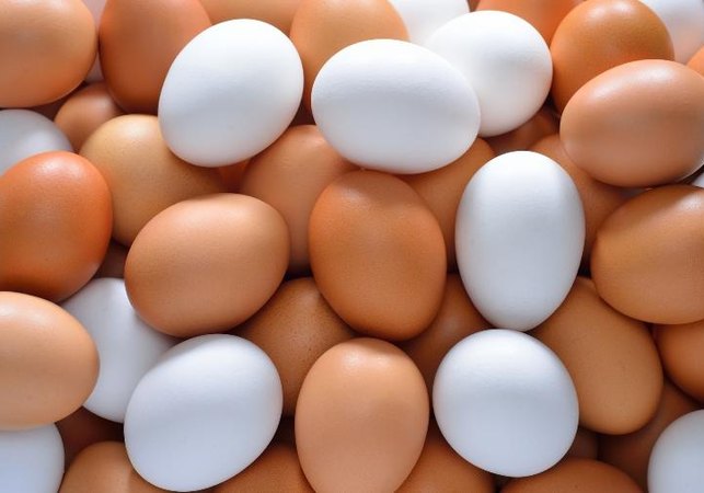 Após acusar esposa de roubar ovos de galinha, homem agride a companheira e faz filha comer lama em Feira Grande
