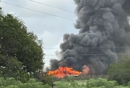 VÍDEO: Incêndio de grandes proporções atinge avícola na Baixa da Onça, em Arapiraca