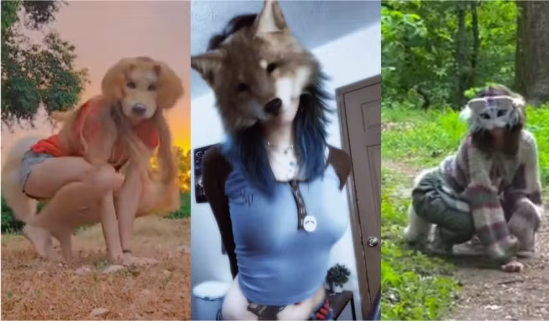 Entenda o que é uma pessoa therian, movimento de quem se identifica com animais