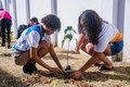 IMA promove plantio de 7 mil mudas em Coruripe em celebração ao Dia Mundial do Meio Ambiente