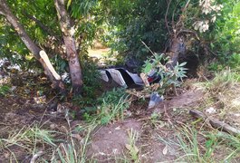 Vice-prefeito de Maragogi fica ferido após carro cair em ribanceira em rodovia alagoana