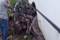 Grave acidente entre ônibus e carro deixa duas pessoas mortas em Porto Calvo