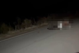 Motociclista morre após atingir animal solto na AL-145, em Água Branca