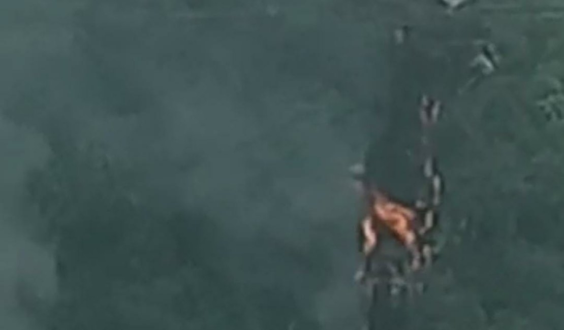 Fiação de internet pega fogo em poste de energia elétrica em Arapiraca