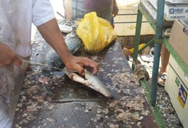 Consumidores reclamam da alta dos preços dos peixes nas feiras de Arapiraca