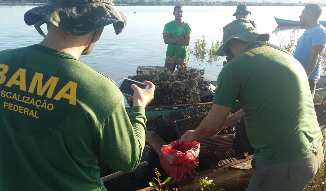 FPI do São Francisco combate pesca predatória e resgata 1.500 espécimes de camarões