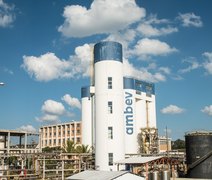 Ambev oferece auxílio de até R$ 255 para ambulante que não vai trabalhar no carnaval; saiba como participar