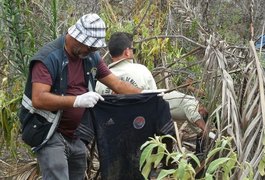 Ossadas encontradas em Marechal só serão identificadas com exames periciais