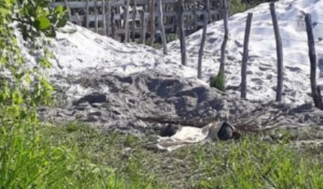 Polícia Civil aponta quatro suspeitos de matar três jovens em Maragogi
